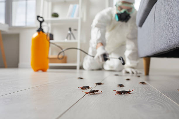 Commercial Kitchen Cockroach Control in Weyers Cave